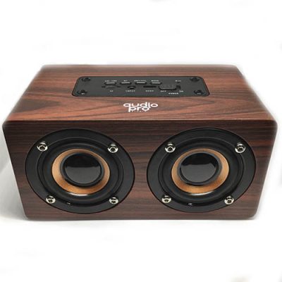 PARLANTE PORTATIL AUDIO PRO AP01018