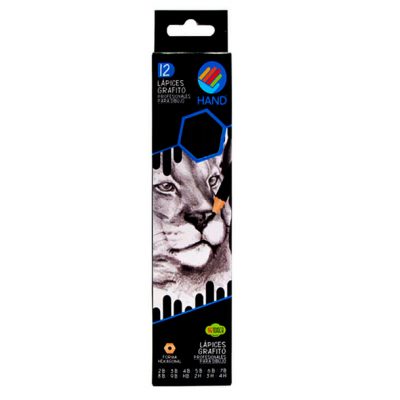 CAJA DE 12 LAPICES GRAFITO PROFESIONALES 9B-8B-5B-4B-3B-2B-HB-2H-3H-4H