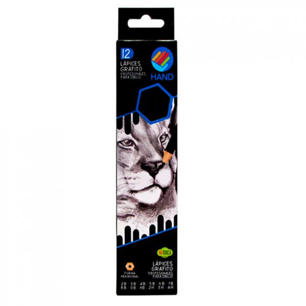 CAJA DE 12 LAPICES GRAFITO PROFESIONALES 9B-8B-5B-4B-3B-2B-HB-2H-3H-4H