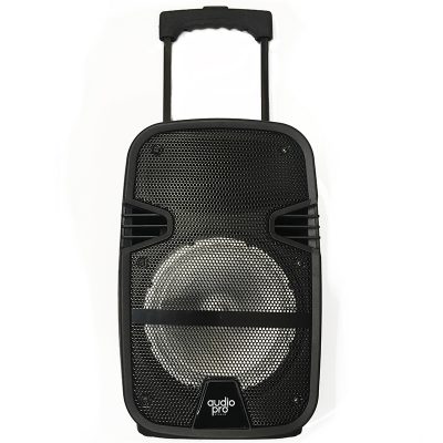 PARLANTE KARAOKE PORTATIL BLUETOOTH + MICROFONO 80W