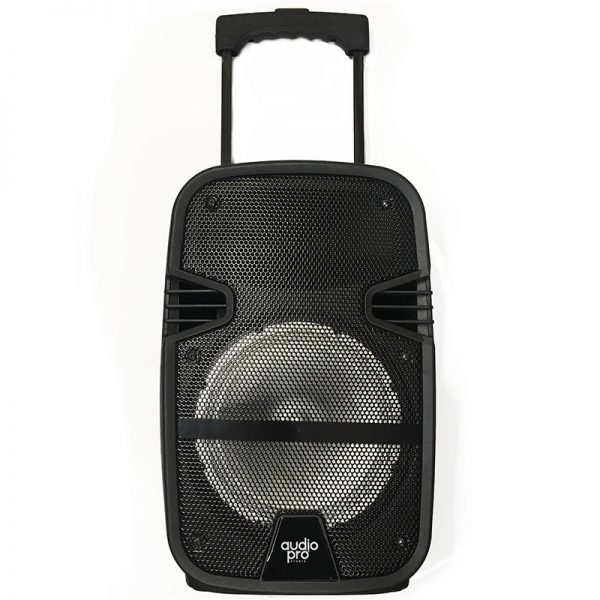 PARLANTE KARAOKE PORTATIL BLUETOOTH + MICROFONO 80W