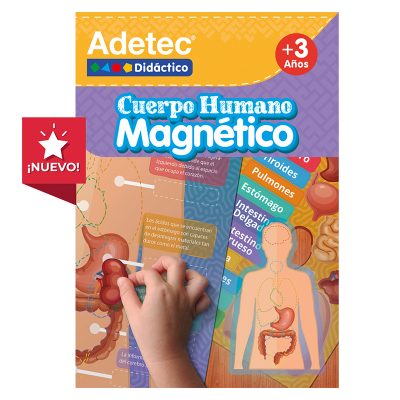 LAMINAS MAGNETICAS CUERPO HUMANO