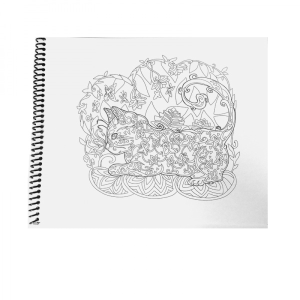 LIBROS PARA COLOREAR  GATITOS Y MANDALAS - Imagen 2