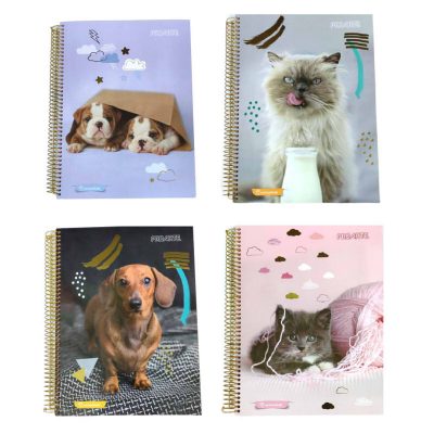 CUADERNO  RACHAELHALE CARTA