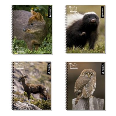 Cuaderno Universitario Nativo Rhein